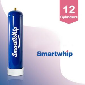 12 smart whip chargers