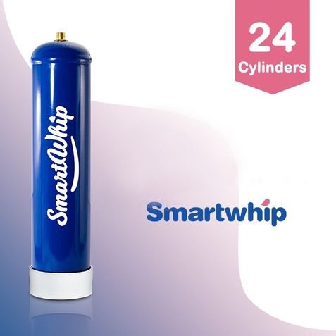 24 smart whip chargers